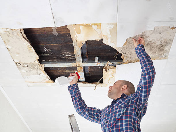 Kemah, TX Mold Removal Company